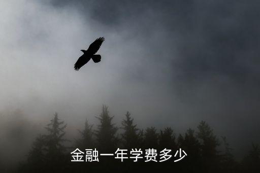 金融一年学费多少