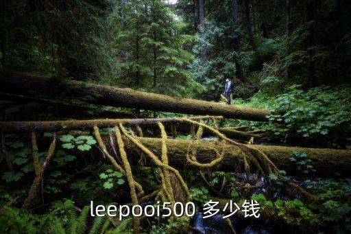 欧风500多少钱，Dunlop Aerogel 500 求图片 价钱是多少