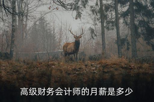高级会计工资是多少，高级财务会计师的月薪是多少