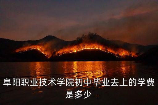 阜阳职业技校学费多少，阜阳职高学费多少