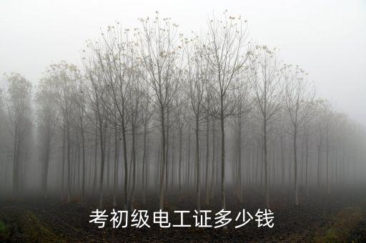 学电工初级多少钱，考初级电工证多少钱