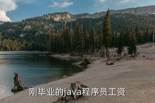 五年海口java工资多少钱，刚毕业的java程序员工资