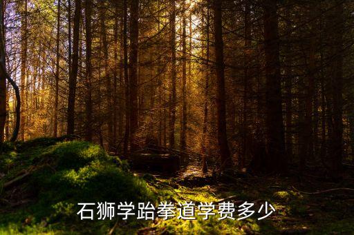 石狮学跆拳道学费多少