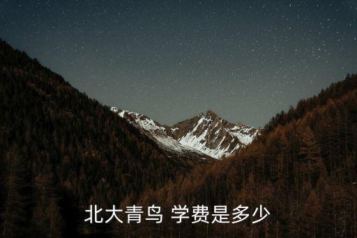 北大青鸟 学费是多少