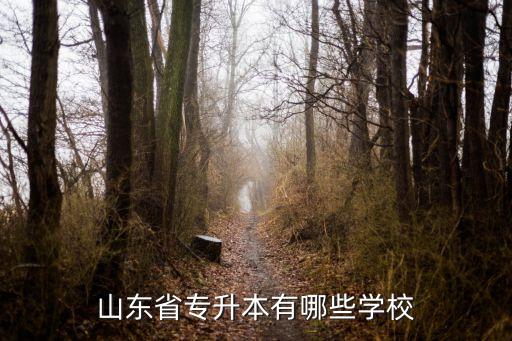 山东省专升本有哪些学校
