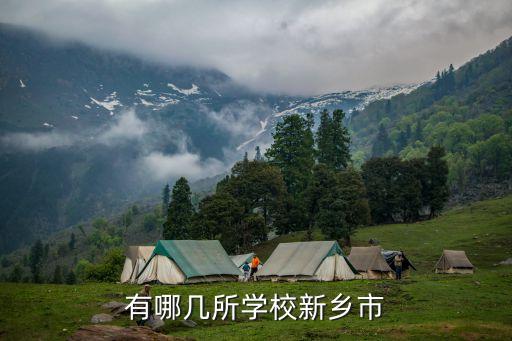 有哪几所学校新乡市