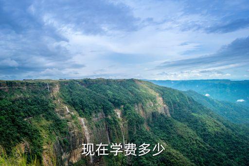 现在学费多少