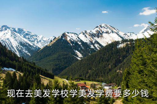 现在去美发学校学美发学费要多少钱