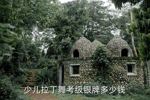 拉丁考级费用是多少，少儿拉丁舞考级银牌多少钱