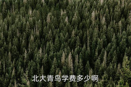 北大青鸟学费多少啊
