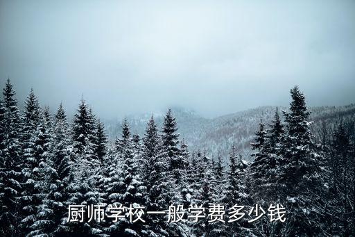 南充厨师学院学费多少，你好请问学烹饪一年多少学费