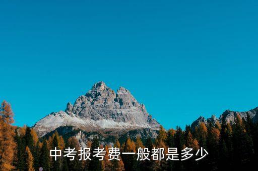 中考报考费一般都是多少
