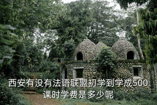 西安有没有法语联盟初学到学成500课时学费是多少呢