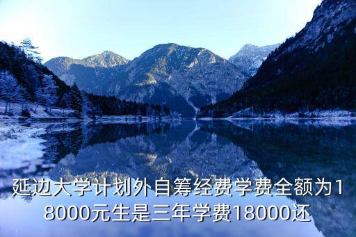 国家一年给延边大学多少钱，延边大学合作办学一年学费多少啊专业好不好