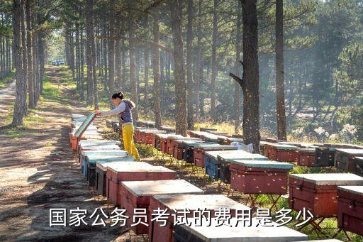 国边考试多少钱，国家公务员考试的费用是多少