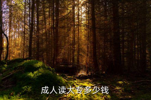 成人读大专多少钱