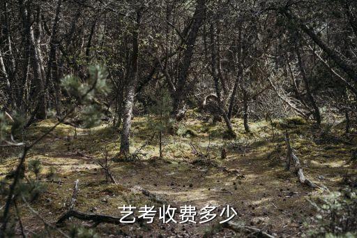 艺考收费多少