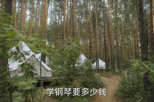 学钢琴要多少钱