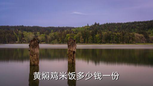 黄焖鸡米饭多少钱一份