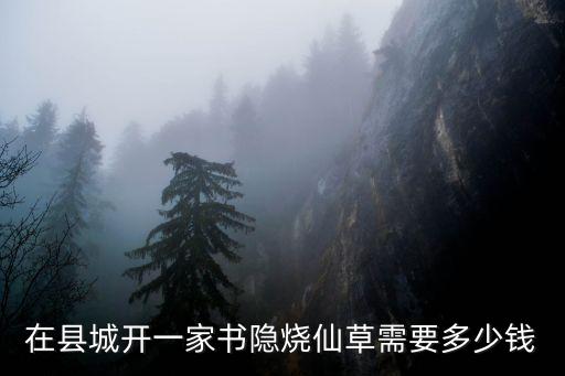 在县城开一家书隐烧仙草需要多少钱