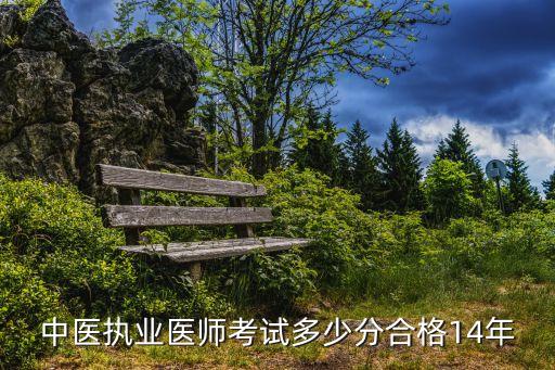 中医执业医师考试多少分合格14年