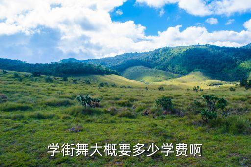 学街舞大概要多少学费啊