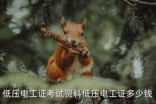 电工低压操作证多少钱，低压电工证办理要多少钱