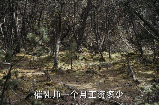 催乳师一个月工资多少