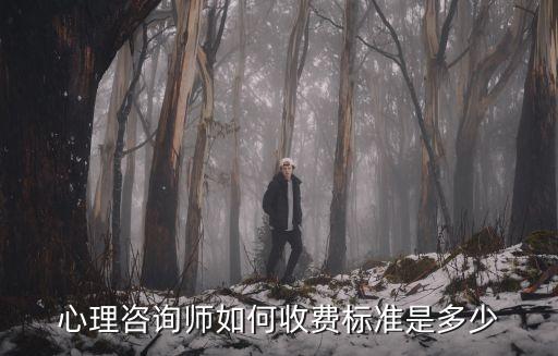 心理咨询师如何收费标准是多少