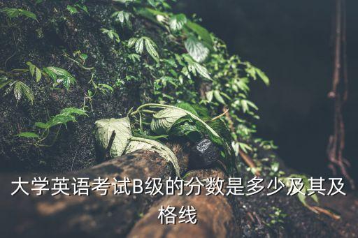 大学英语考试B级的分数是多少及其及格线