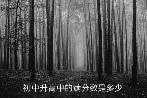 初中升高中的满分数是多少