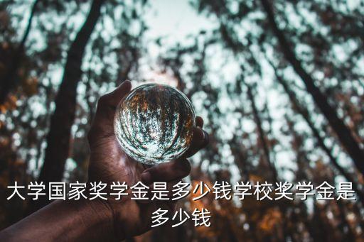 大学国家奖学金是多少钱学校奖学金是多少钱