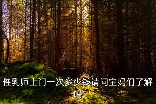 催乳师上门一次多少钱请问宝妈们了解吗