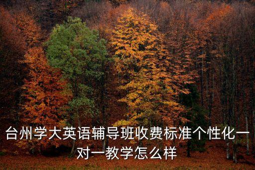 台州学大英语辅导班收费标准个性化一对一教学怎么样