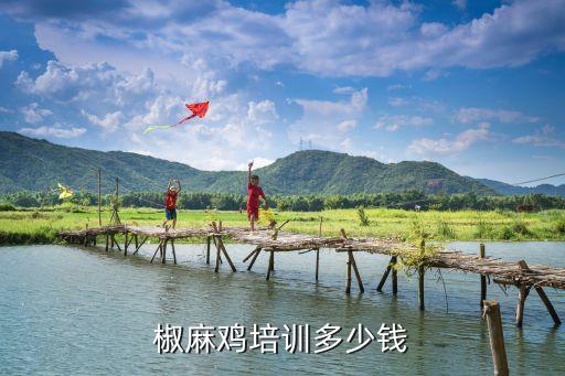 椒麻鸡培训多少钱