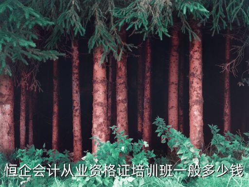 恒企会计从业资格证培训班一般多少钱