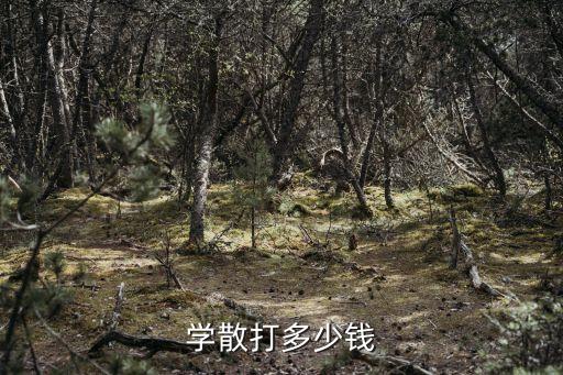 学散打多少钱