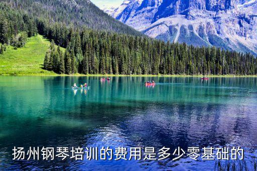 扬州学钢琴多少钱，扬州钢琴培训的费用是多少零基础的
