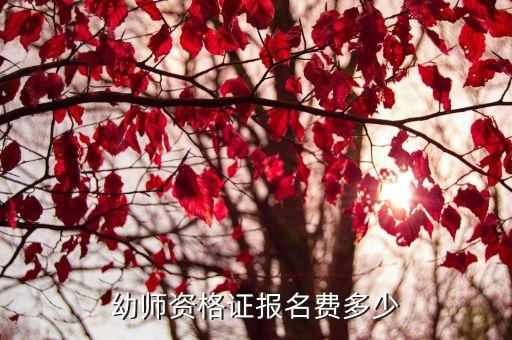 幼师资格证报名费多少