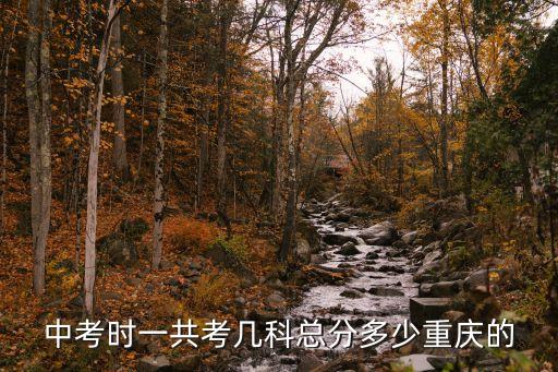 中考时一共考几科总分多少重庆的