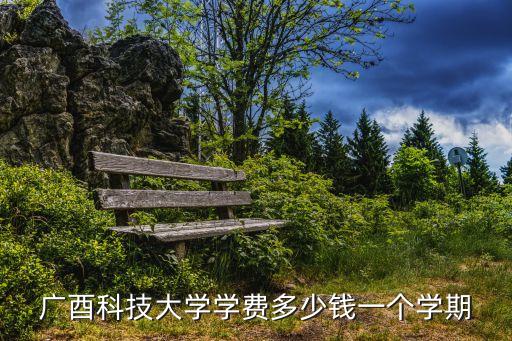 广酉科技大学学费多少钱一个学期