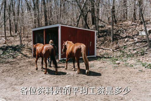 各位资料员的平均工资是多少