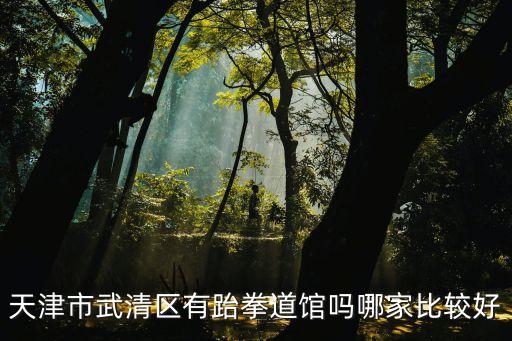 武清跆拳道多少钱，5310在天津武清多少钱