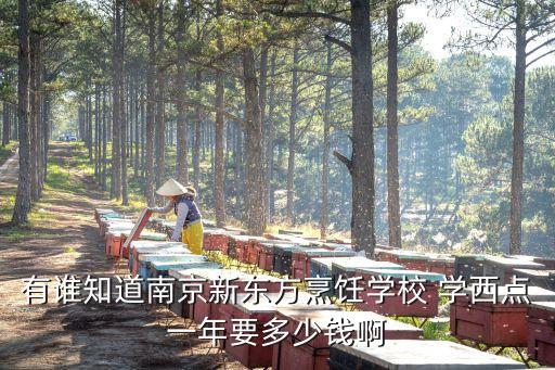 有谁知道南京新东方烹饪学校 学西点一年要多少钱啊