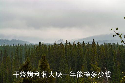 干烧烤利润大麽一年能挣多少钱