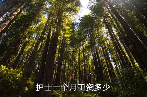 护士一个月工资多少