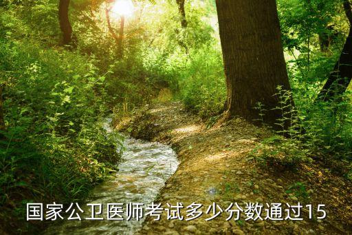 国家公卫医师考试多少分数通过15