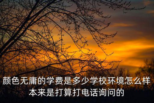 颜色无庸的学费是多少学校环境怎么样本来是打算打电话询问的