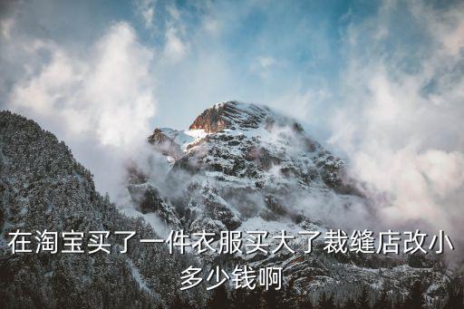 在淘宝买了一件衣服买大了裁缝店改小多少钱啊