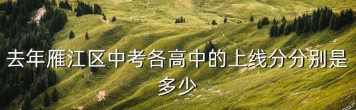 去年雁江区中考各高中的上线分分别是多少